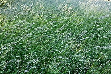 性能堪忧！《夺宝奇兵：古老之圈》或加入D加密